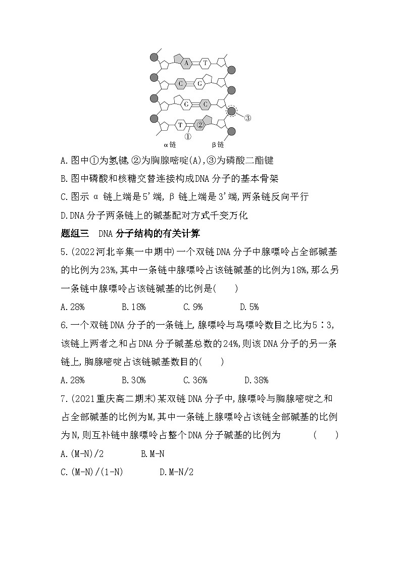 2023人教版高中生物必修2 遗传与进化 第3章   基因的本质 第2节 DNA的结构 试卷02