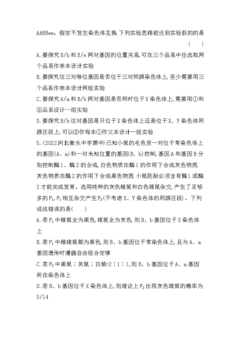 2023人教版高中生物必修2 遗传与进化 第2章   基因和染色体的关系 专题强化练3 探究基因在染色体上的位置第3页