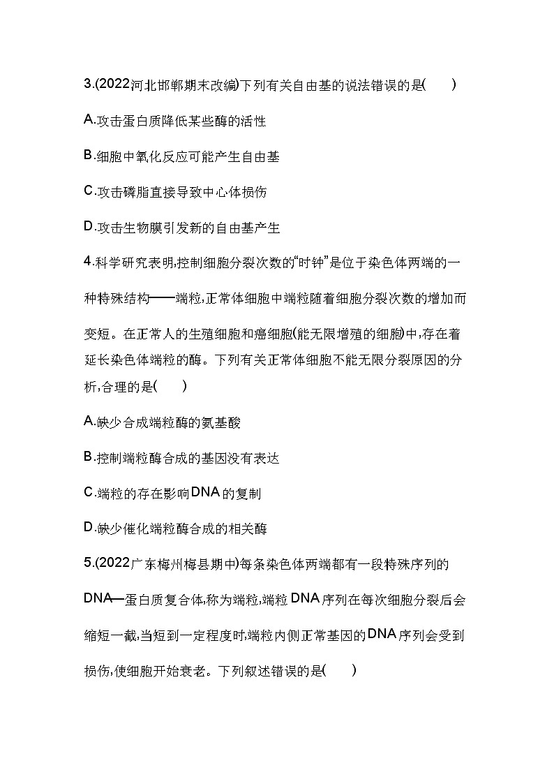 2023人教版高中生物必修1 分子与细胞 第6章 细胞的生命历程 第3节 细胞的衰老和死亡第2页