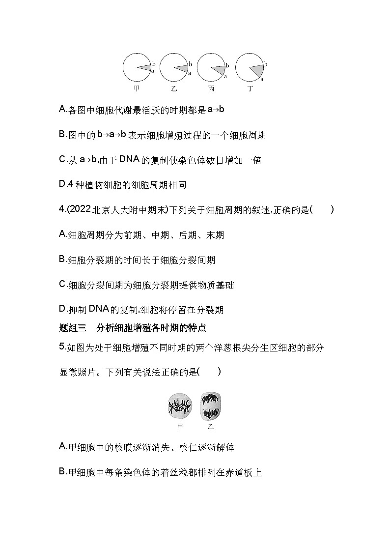 2023人教版高中生物必修1 分子与细胞 第6章 细胞的生命历程 第1节 细胞的增殖 试卷02