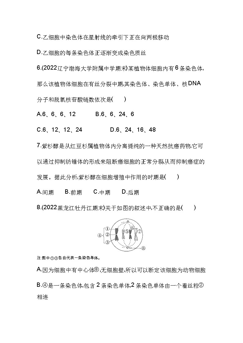 2023人教版高中生物必修1 分子与细胞 第6章 细胞的生命历程 第1节 细胞的增殖 试卷03