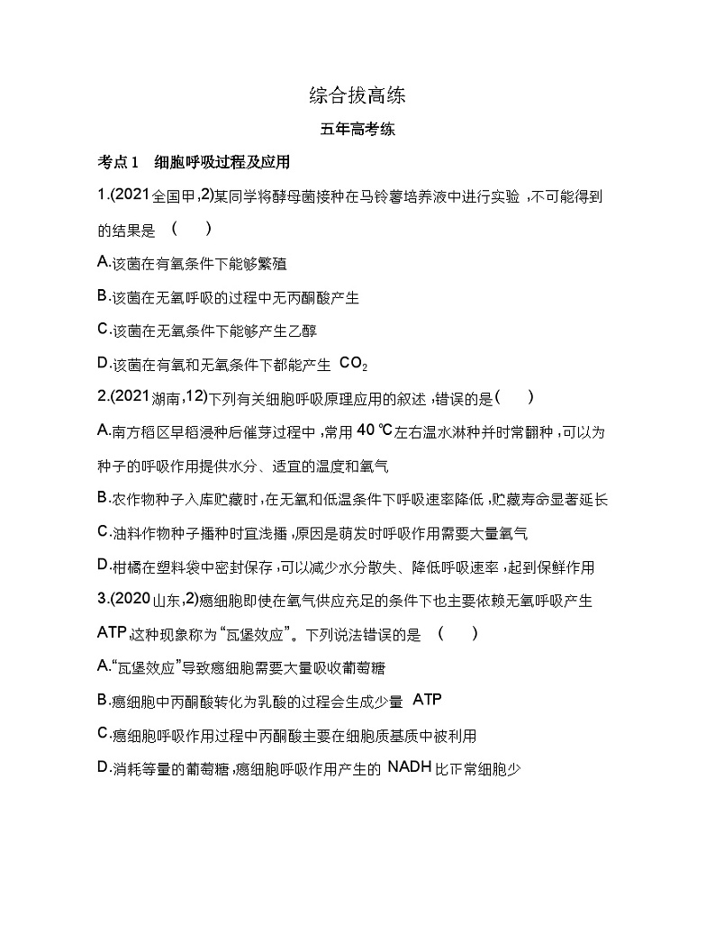 2023人教版高中生物必修1 分子与细胞 第5章 细胞的能量供应和利用 综合拔高练01