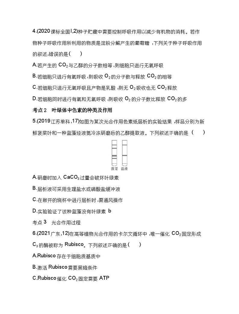 2023人教版高中生物必修1 分子与细胞 第5章 细胞的能量供应和利用 综合拔高练02