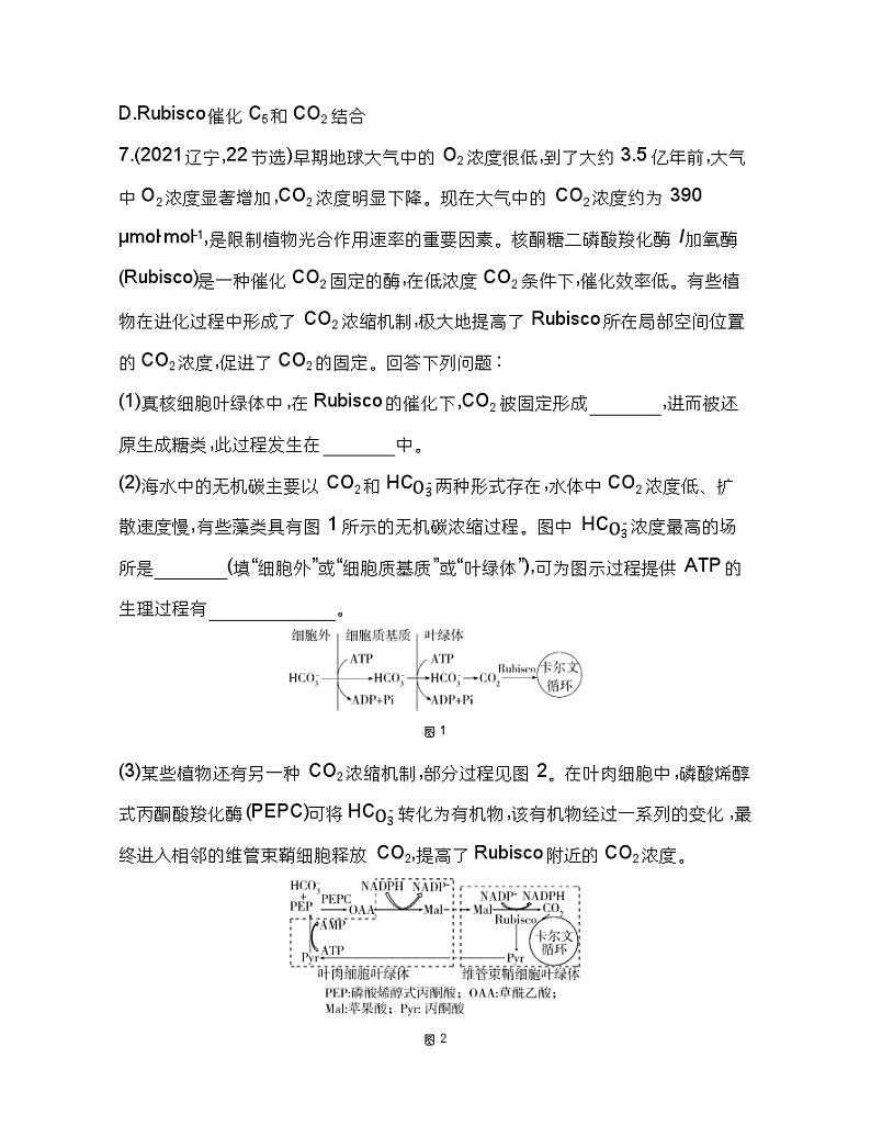 2023人教版高中生物必修1 分子与细胞 第5章 细胞的能量供应和利用 综合拔高练03