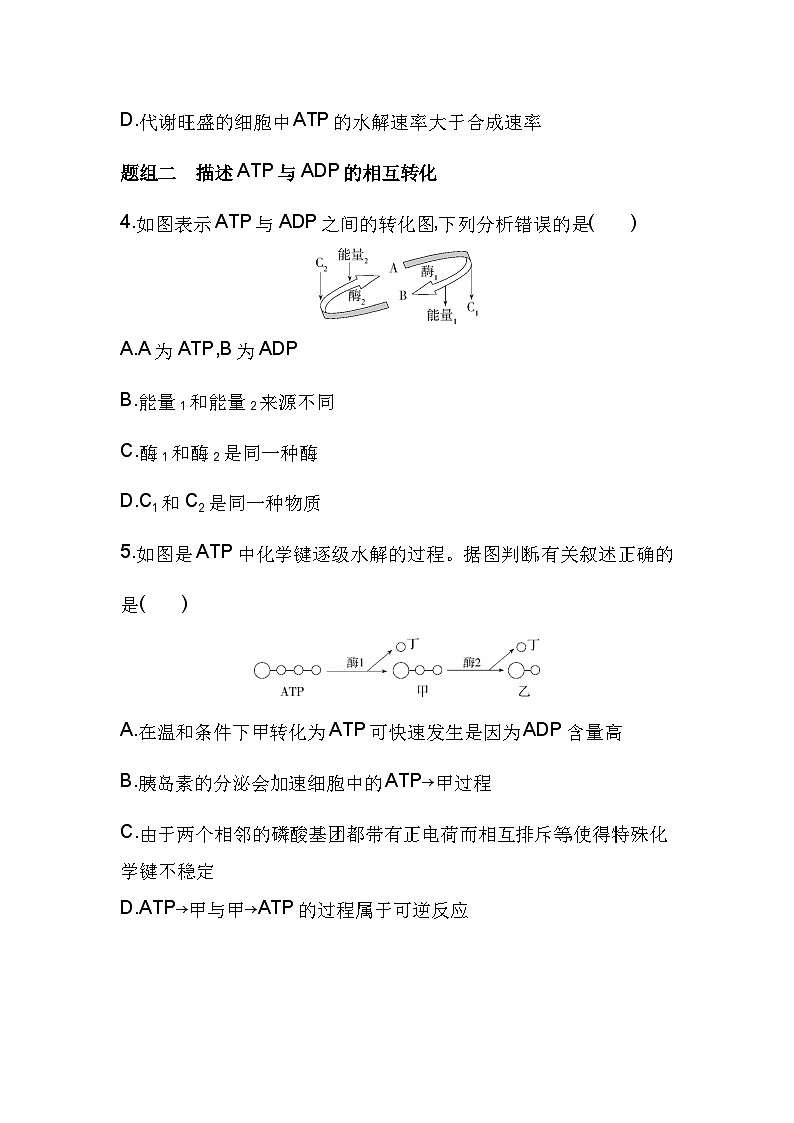 2023人教版高中生物必修1 分子与细胞 第5章 细胞的能量供应和利用 第2节 细胞的能量“货币”ATP第2页