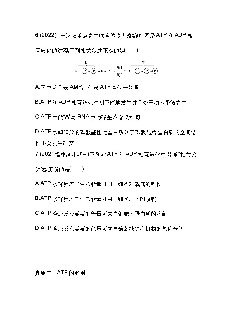 2023人教版高中生物必修1 分子与细胞 第5章 细胞的能量供应和利用 第2节 细胞的能量“货币”ATP第3页