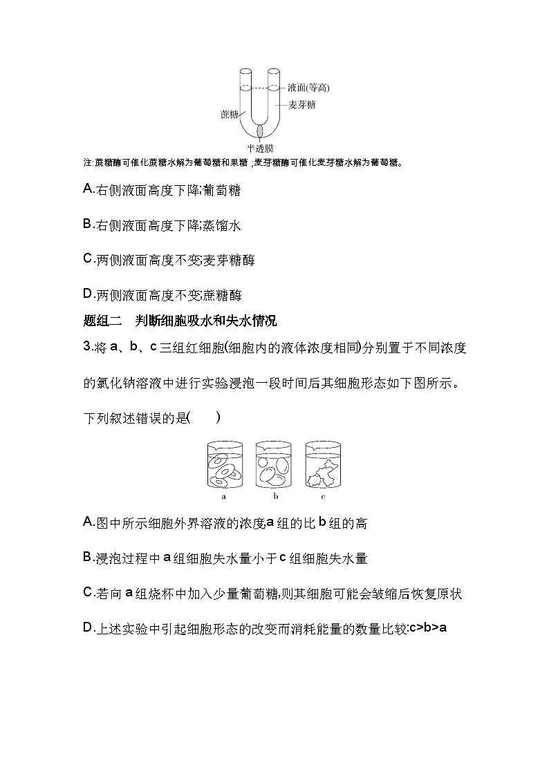 2023人教版高中生物必修1 分子与细胞 第4章 细胞的物质输入和输出 第1节 被动运输 试卷02