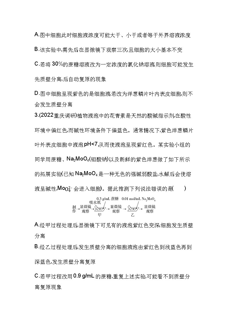 2023人教版高中生物必修1 分子与细胞 第4章 细胞的物质输入和输出 本章复习提升 试卷02