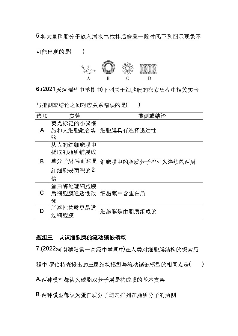 2023人教版高中生物必修1 分子与细胞 第3章 细胞的基本结构 第1节 细胞膜的结构和功能 试卷03