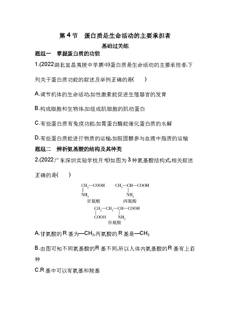 2023人教版高中生物必修1 分子与细胞 第2章 组成细胞的分子 第4节 蛋白质是生命活动的主要承担者 试卷01