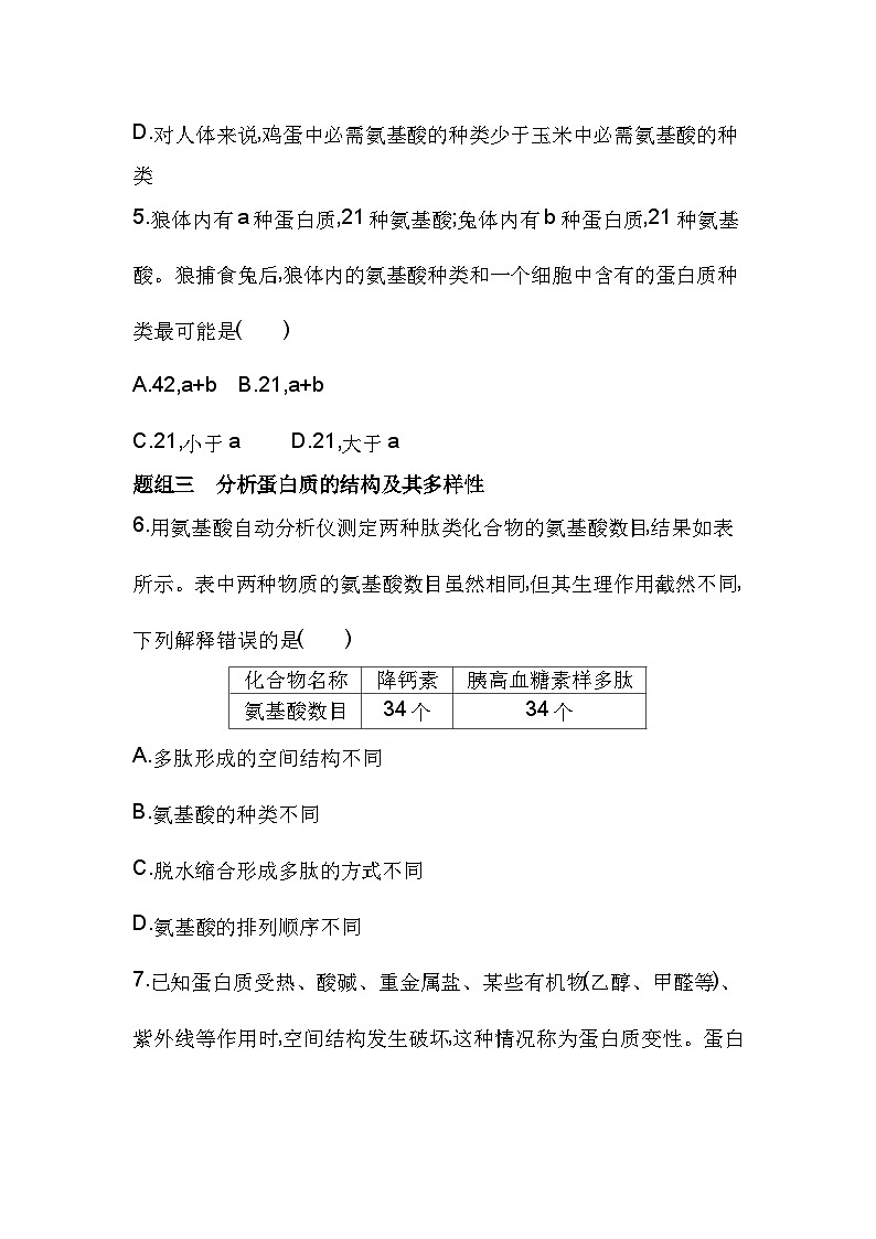 2023人教版高中生物必修1 分子与细胞 第2章 组成细胞的分子 第4节 蛋白质是生命活动的主要承担者 试卷03