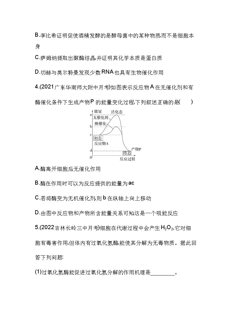 2023人教版高中生物必修1 分子与细胞 第5章 细胞的能量供应和利用 第1节 降低化学反应活化能的酶 试卷02