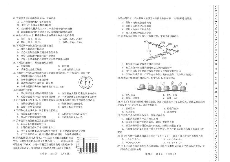 2023年天津市河北区普通高中学业水平合格性考试模拟练习生物试题02
