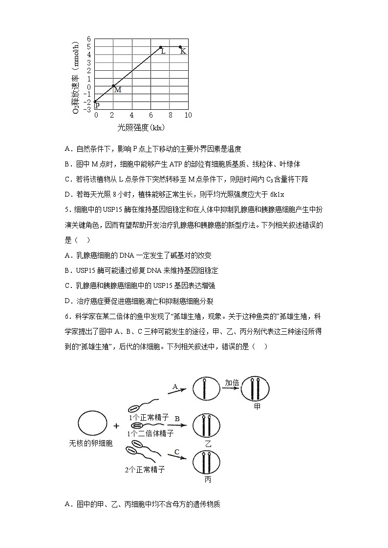 2023届湖北省新高考部分学校高三2月质量检测生物试题（含解析）02