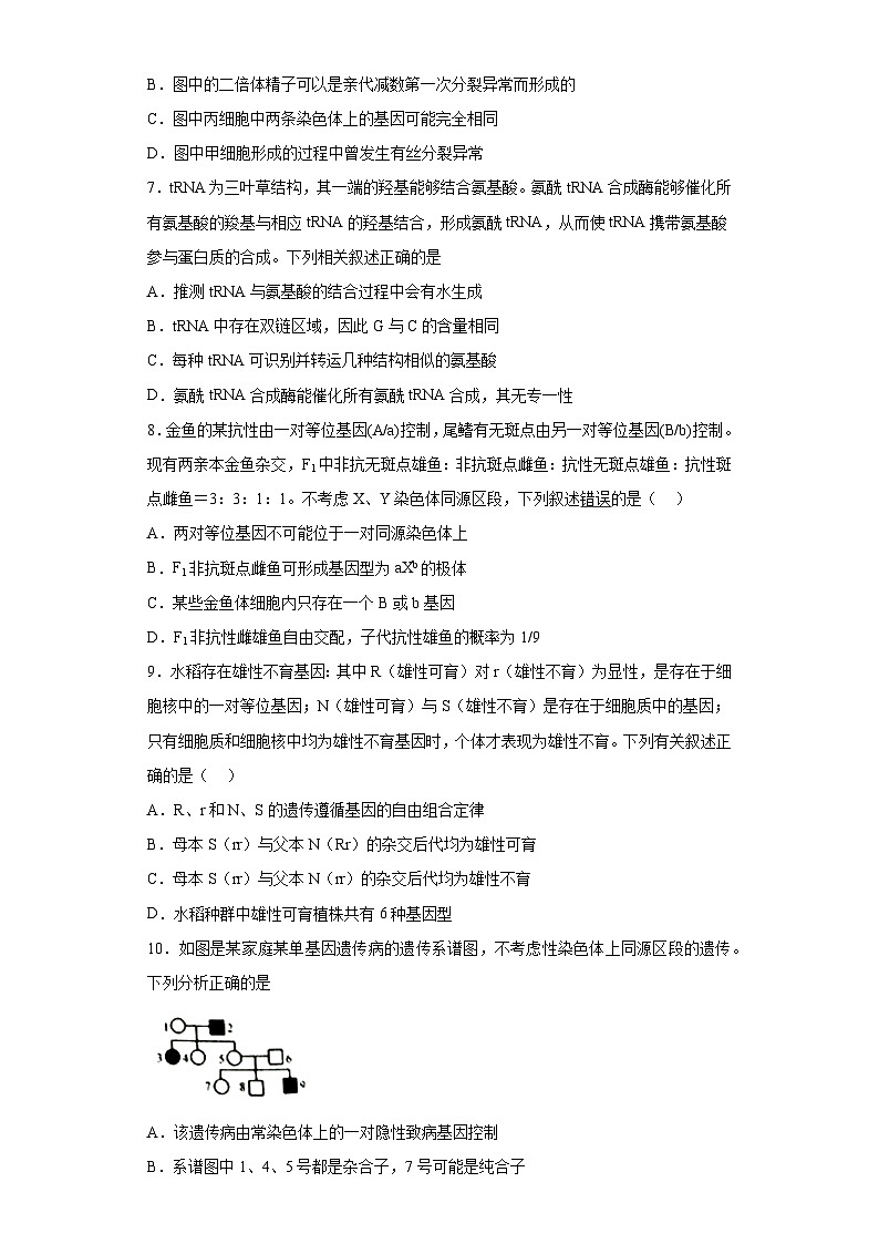 2023届湖北省新高考部分学校高三2月质量检测生物试题（含解析）03