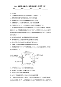 2023届湖北省高考冲刺模拟试卷生物试题（五）（含解析）