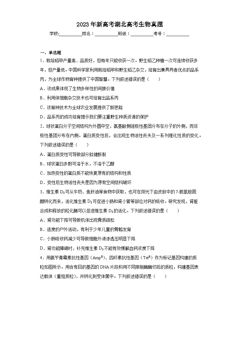 2023年新高考湖北高考生物真题（含解析）第1页