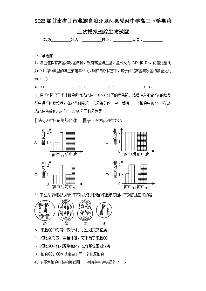 2023届甘肃省甘南藏族自治州夏河县夏河中学高三下学期第三次模拟理综生物试题（含解析）第1页