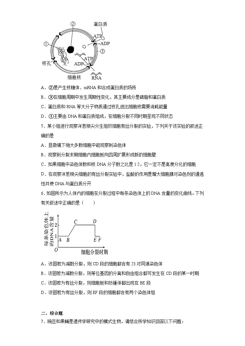 2023届甘肃省甘南藏族自治州夏河县夏河中学高三下学期第三次模拟理综生物试题（含解析）第2页