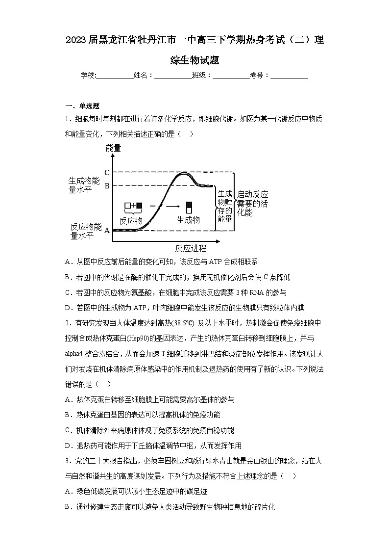 2023届黑龙江省牡丹江市一中高三下学期热身考试（二）理综生物试题（含解析）01
