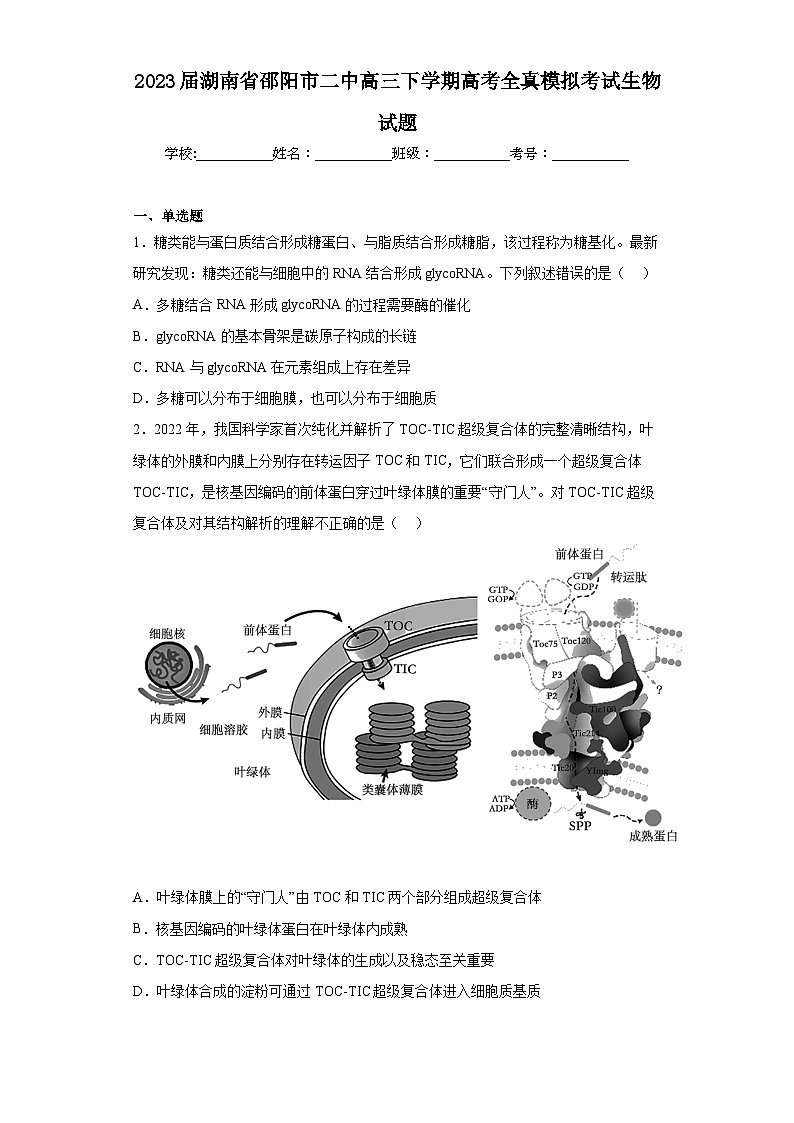 2023届湖南省邵阳市二中高三下学期高考全真模拟考试生物试题（含解析）第1页