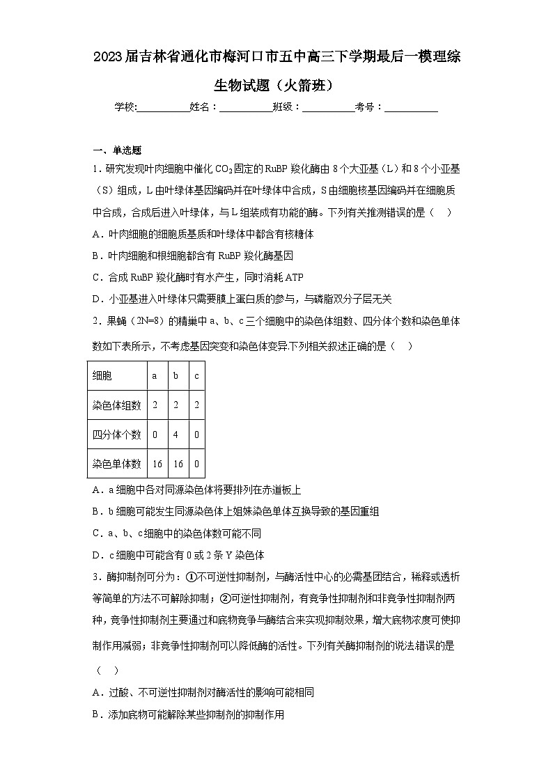 2023届吉林省通化市梅河口市五中高三下学期最后一模理综生物试题（火箭班）（含解析）01