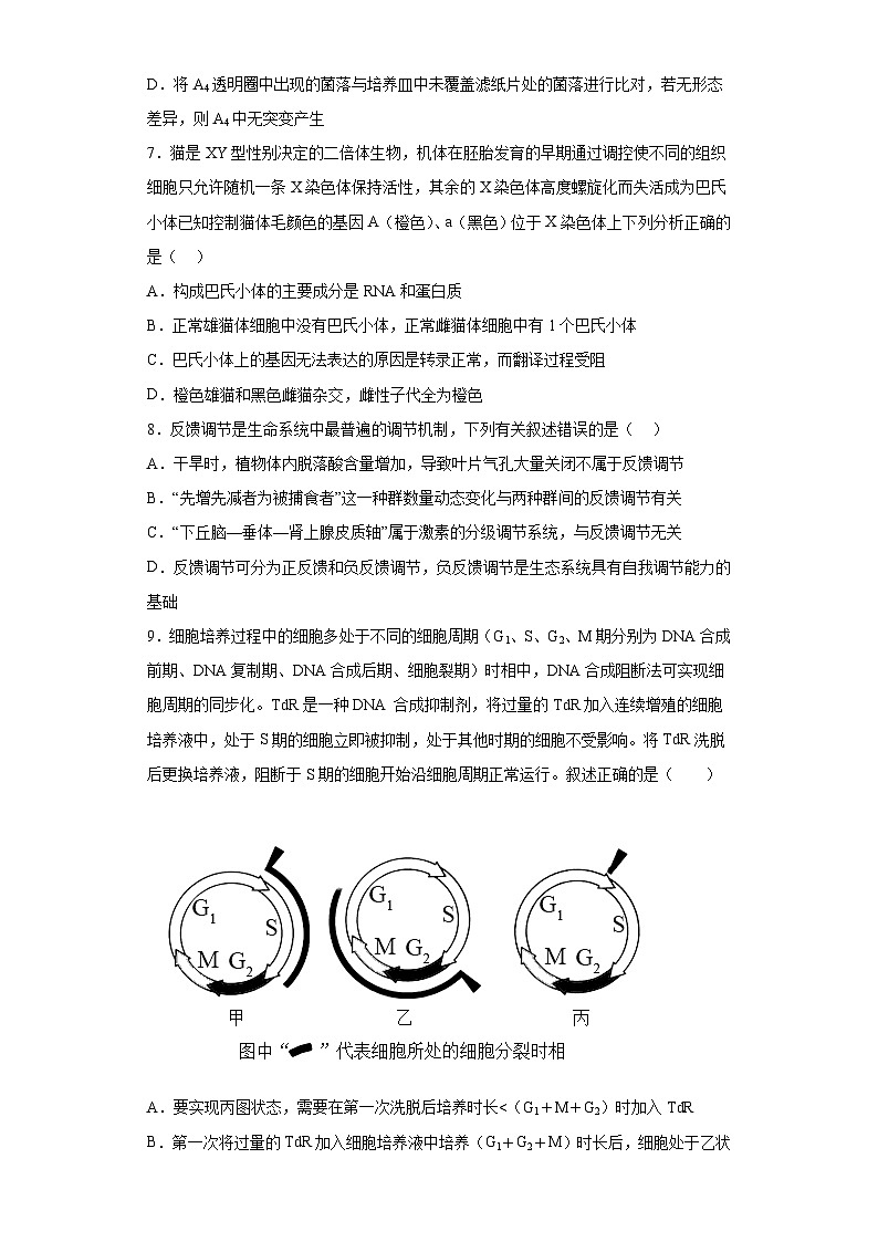 2023届江苏省前黄高级中学高三考前攀登行动（二）生物试题（含解析）03