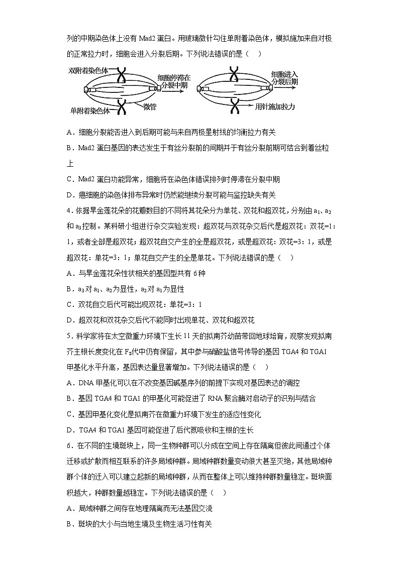 2023届山东省聊城市高三三模生物试题（含解析）第2页