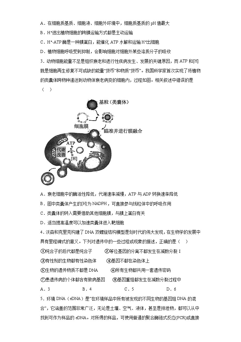 2023届山东省泰安肥城市高三学业仿真模拟生物试题（二）（含解析）02