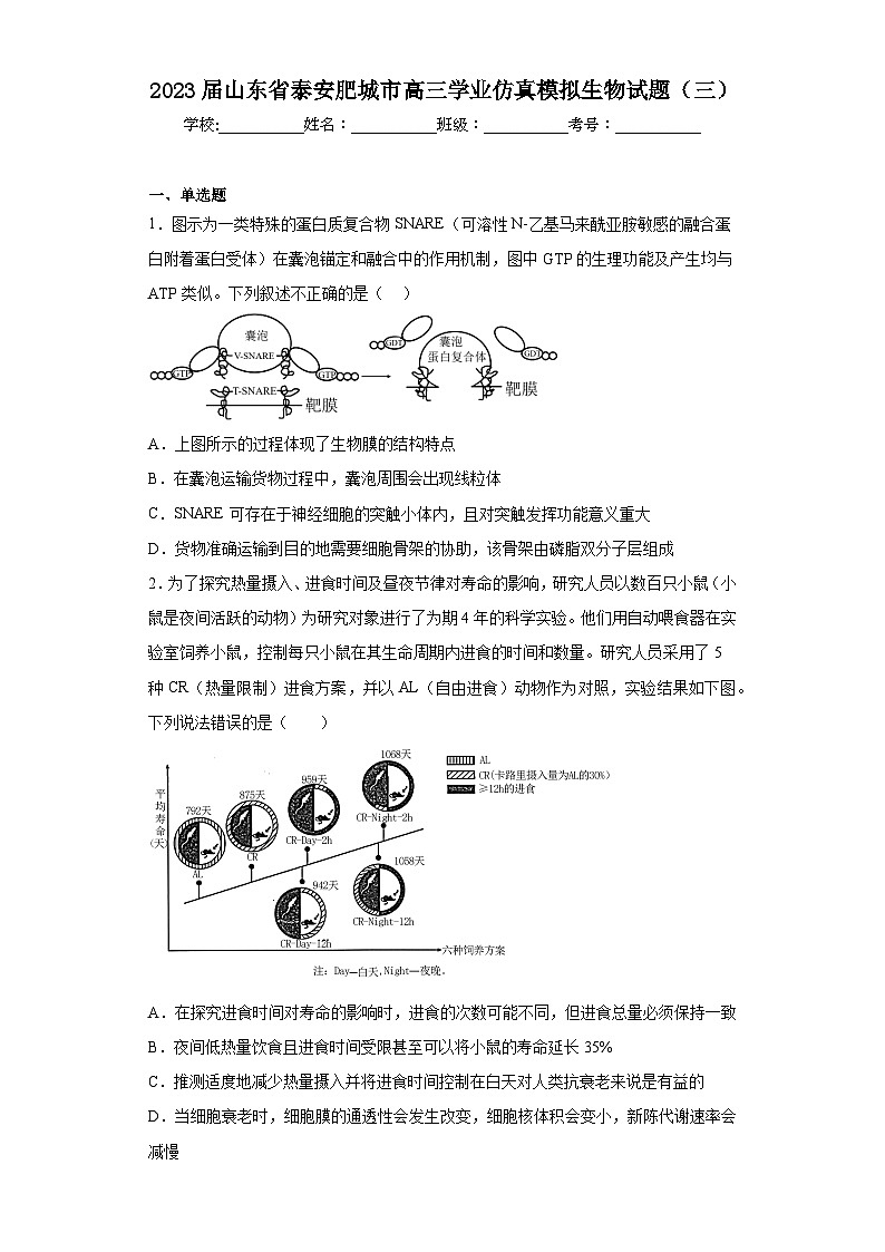 2023届山东省泰安肥城市高三学业仿真模拟生物试题（三）（含解析）第1页