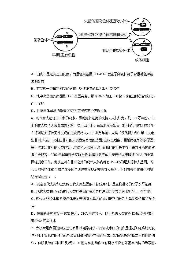 2023届山东省泰安肥城市高三学业仿真模拟生物试题（三）（含解析）第3页
