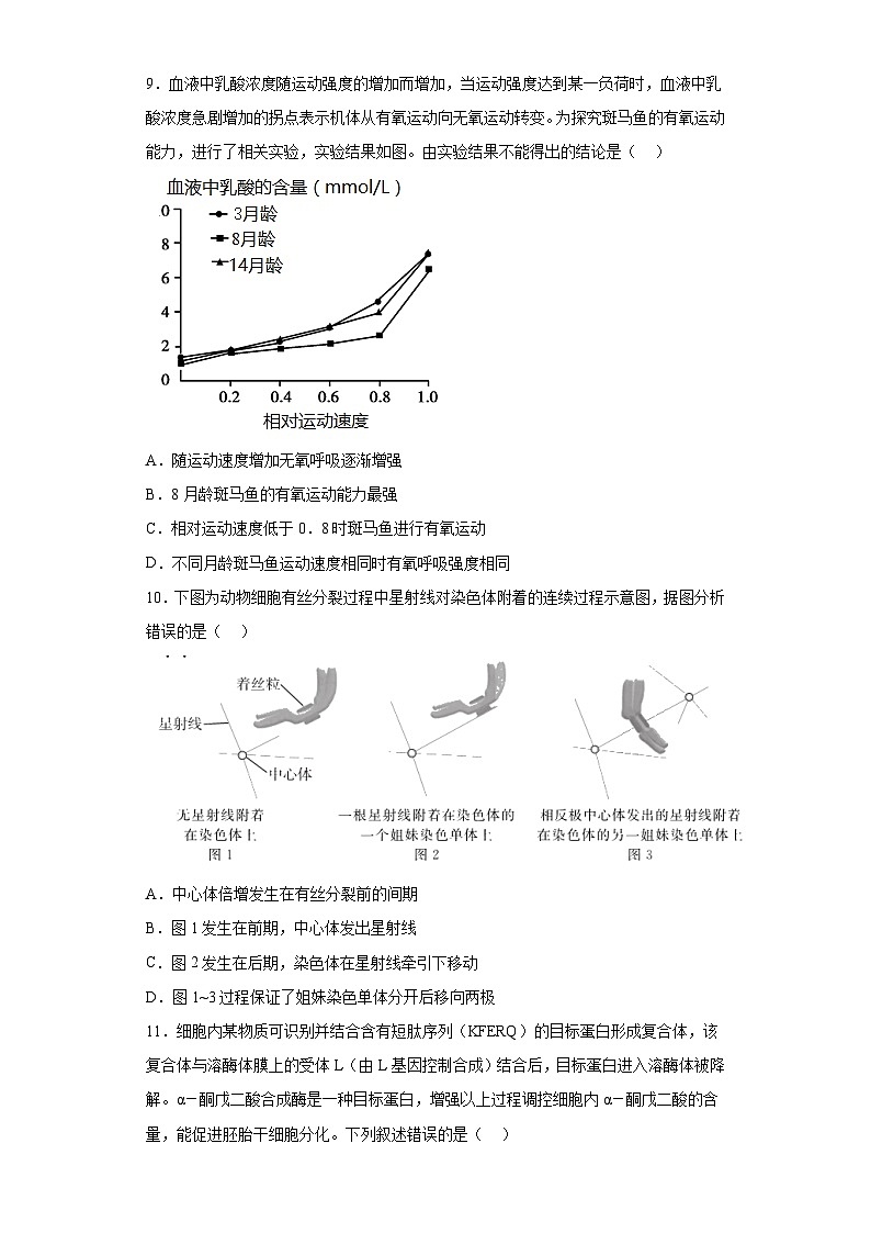 2023届浙江省宁波至诚高级中学选考模拟卷（一）生物试题（含解析）03
