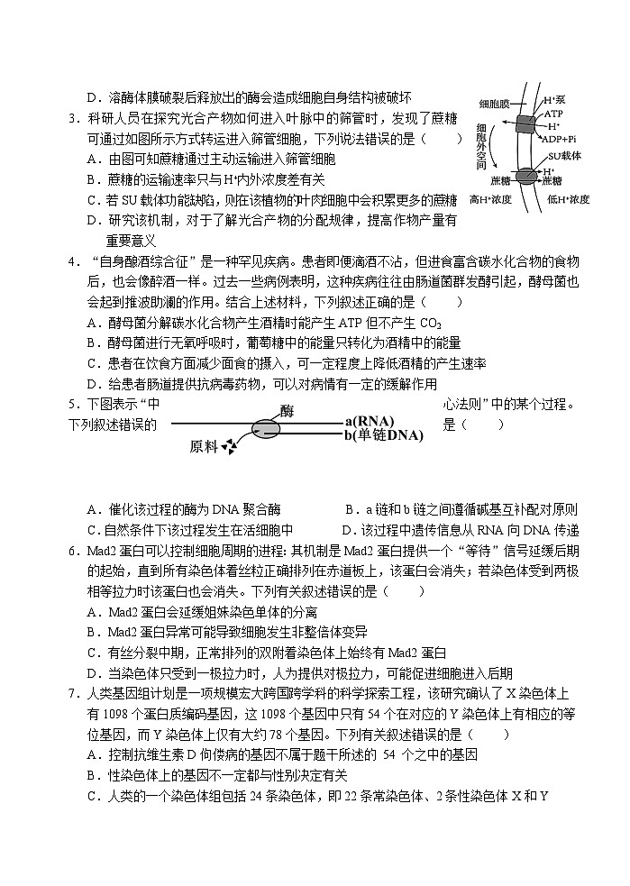 2023湖北省高三下学期高考冲刺模拟试卷（八）生物含解析02