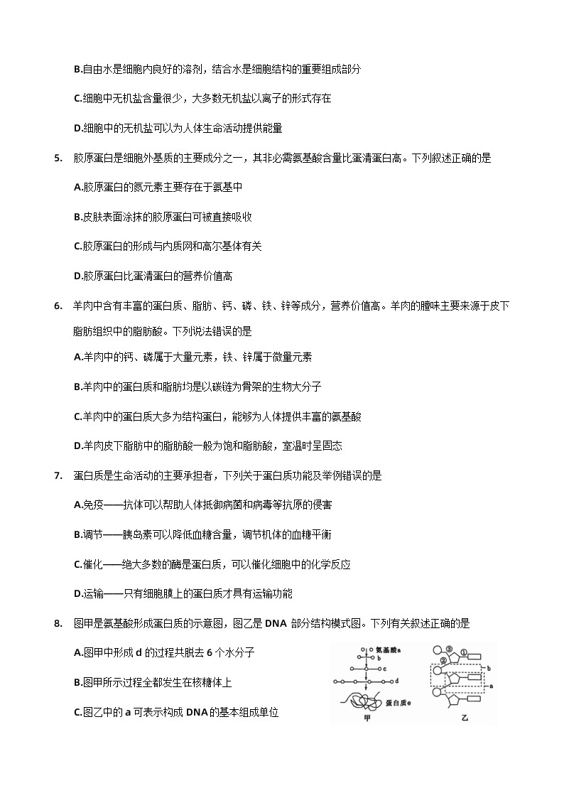 河南省洛阳市2022-2023学年高二下学期期末质量检测生物试题02