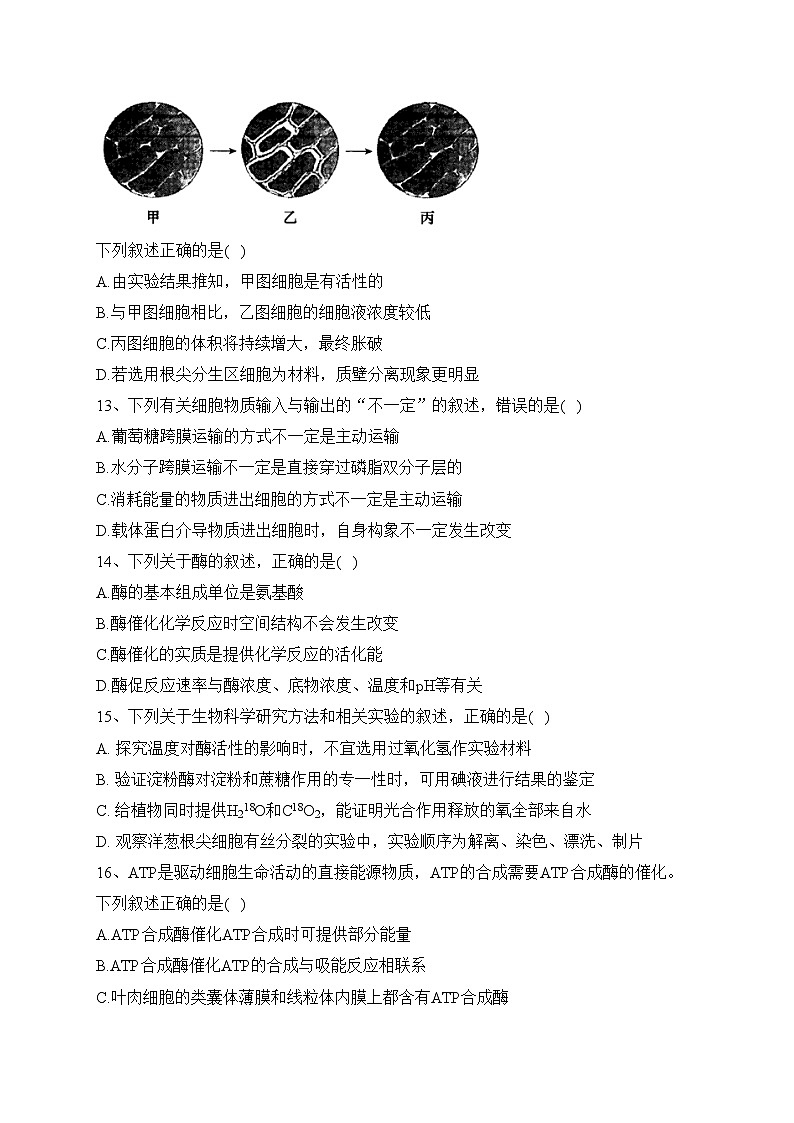 弥勒市第四中学2021-2022学年高一下学期期末模拟考试生物试卷(含答案)03