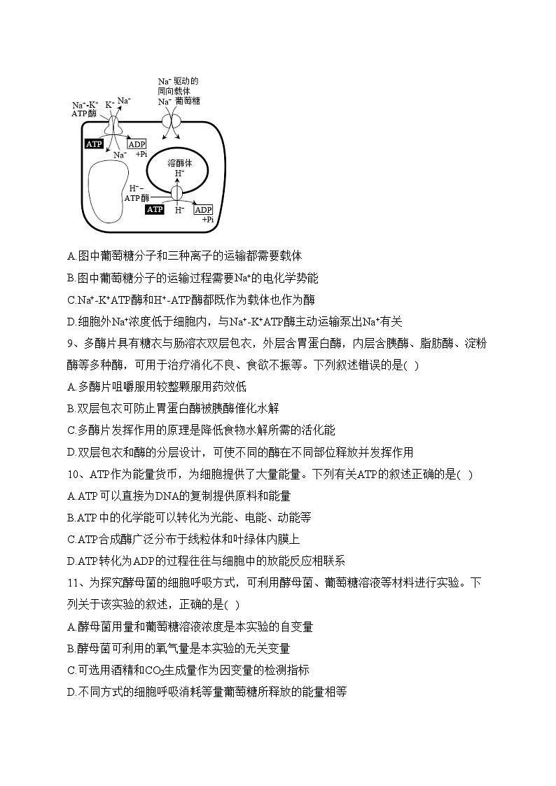 衡阳县第四中学2022-2023学年高二下学期期末考试模拟（一）生物试卷(含答案)03