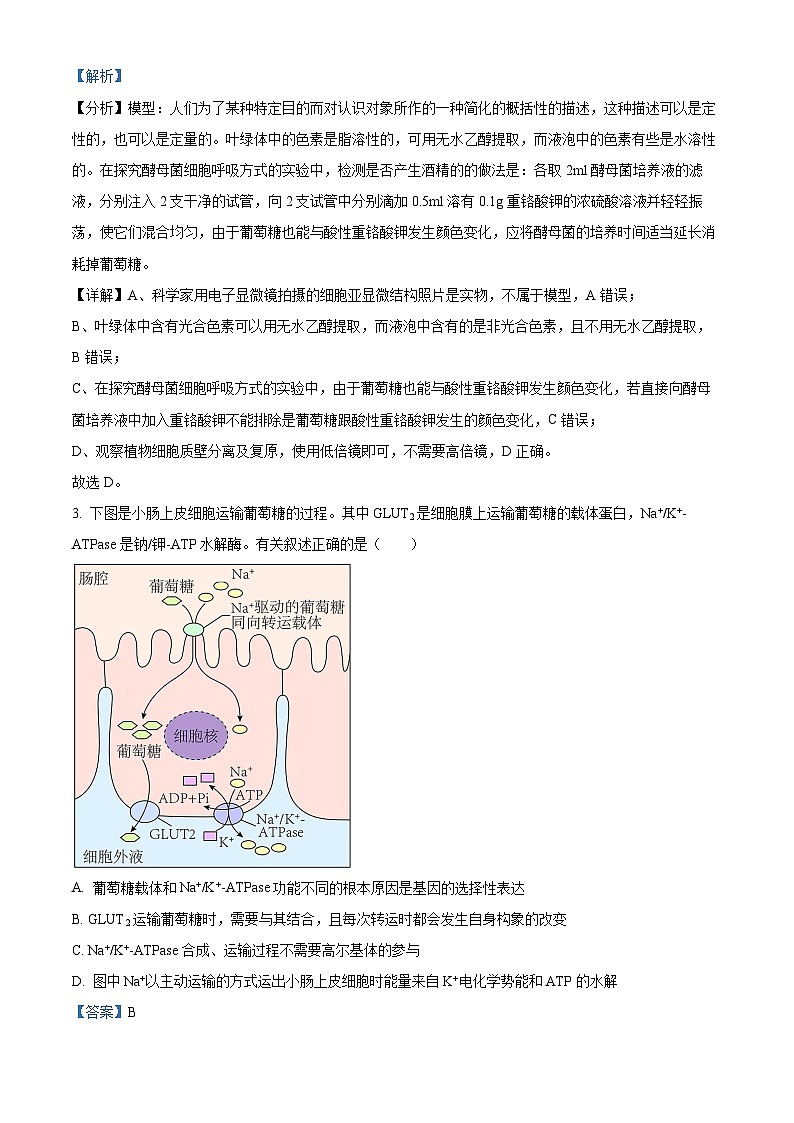 2023届湖北省襄阳市四中高三5月适应性考试生物试题含解析第2页