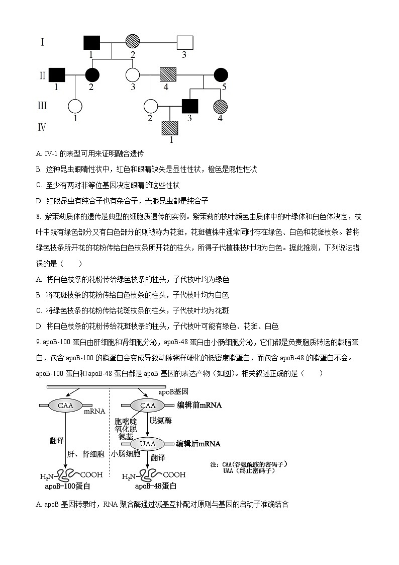 2023届湖北省襄阳市四中高三5月适应性考试生物试题无答案第3页