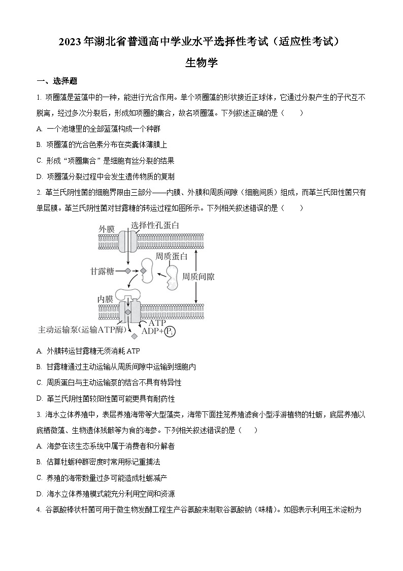 2023天门高三下学期5月适应性考试生物含解析01