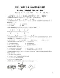 上海闵行中学2022年高一下学期生物期中试卷真题