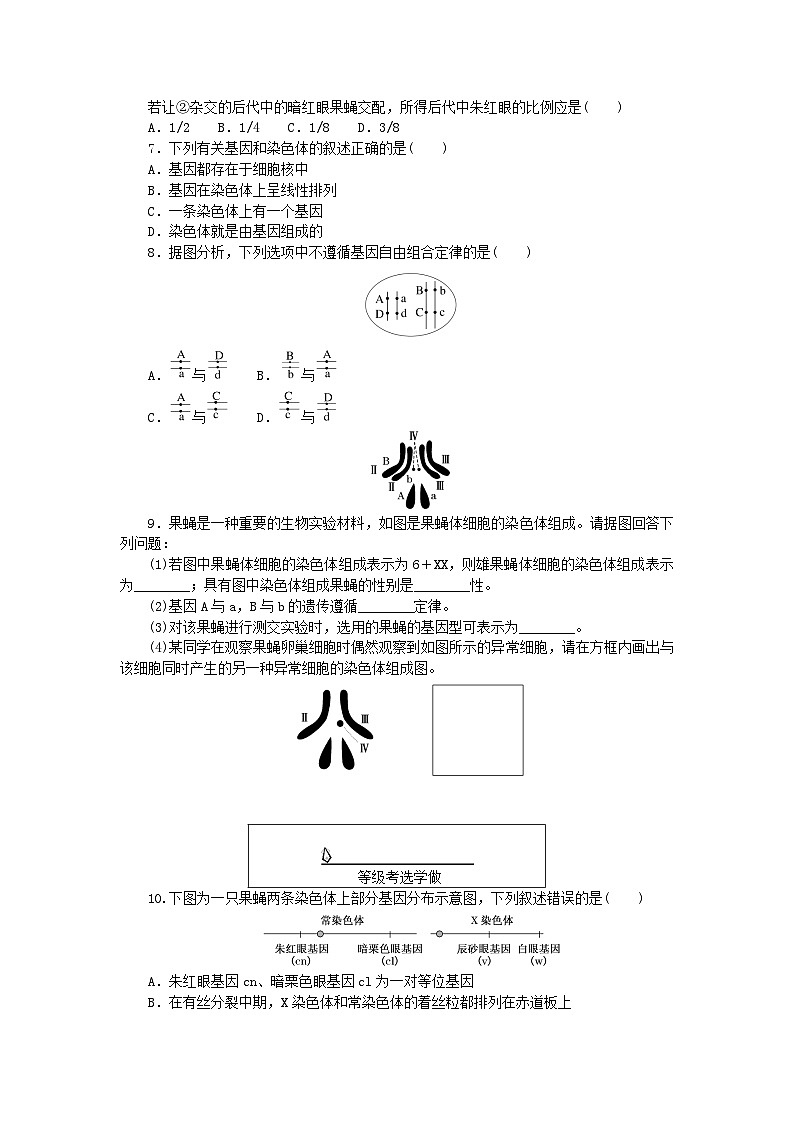 新教材2023版高中生物课后分层检测案7基因在染色体上新人教版必修2第2页