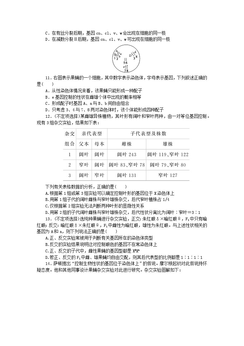 新教材2023版高中生物课后分层检测案7基因在染色体上新人教版必修2第3页