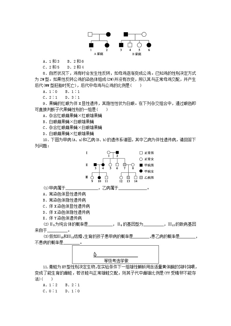 新教材2023版高中生物课后分层检测案8伴性遗传新人教版必修2第2页