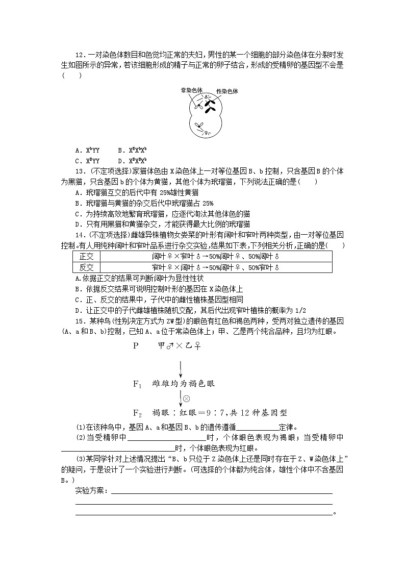 新教材2023版高中生物课后分层检测案8伴性遗传新人教版必修2第3页
