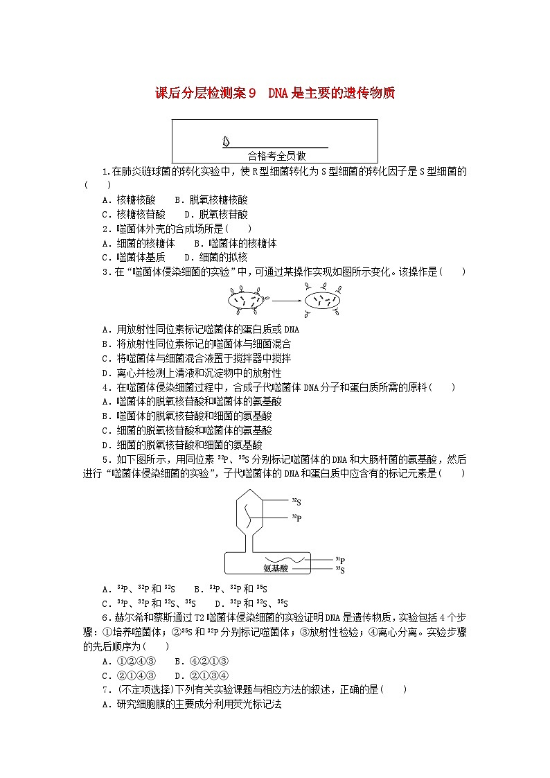 新教材2023版高中生物课后分层检测案9DNA是主要的遗传物质新人教版必修201