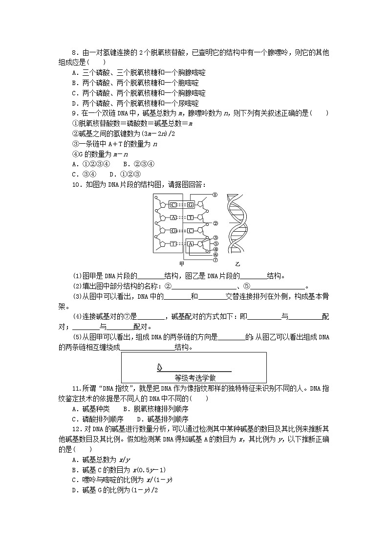 新教材2023版高中生物课后分层检测案10DNA的结构新人教版必修2第2页