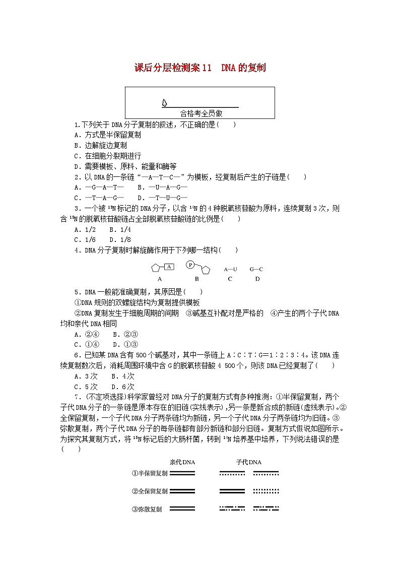 新教材2023版高中生物课后分层检测案11DNA的复制新人教版必修201