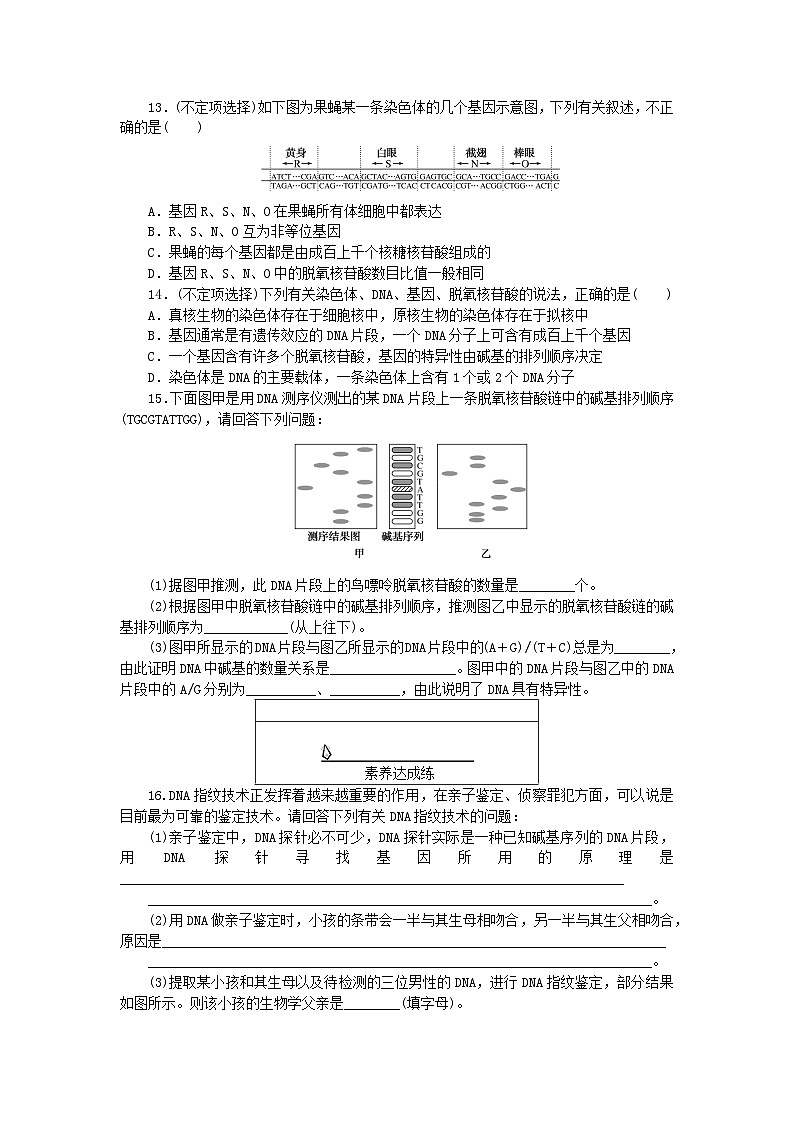 新教材2023版高中生物课后分层检测案12基因通常是有遗传效应的DNA片段新人教版必修203