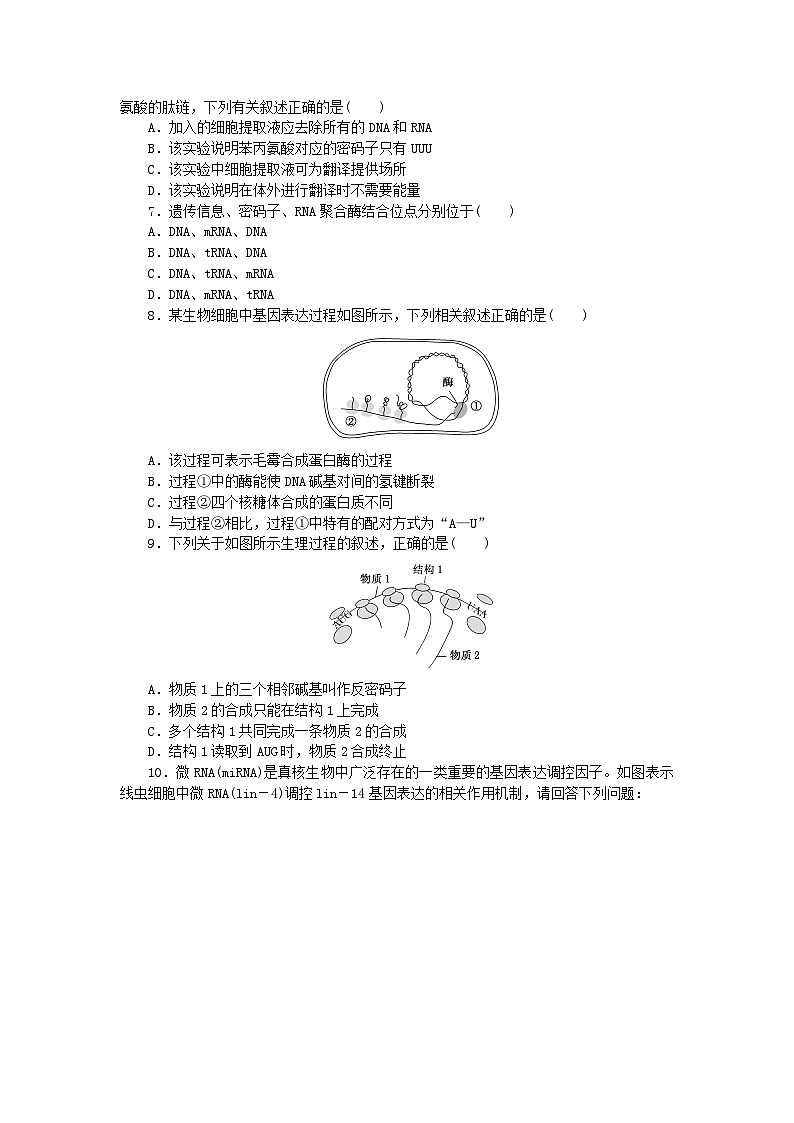 新教材2023版高中生物课后分层检测案13基因指导蛋白质的合成新人教版必修202