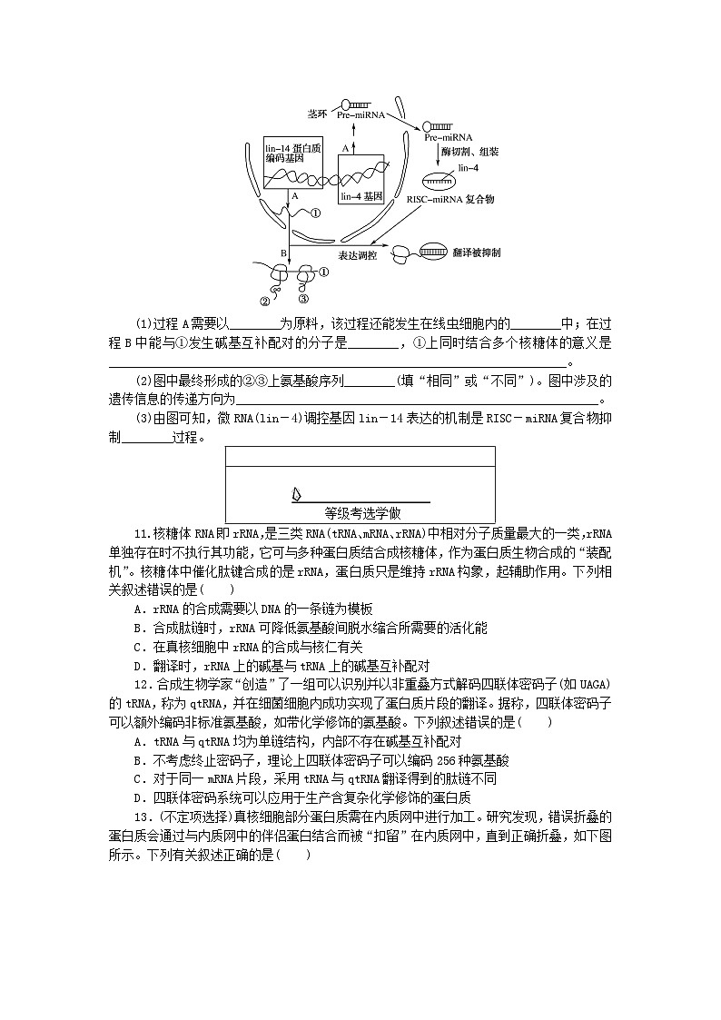 新教材2023版高中生物课后分层检测案13基因指导蛋白质的合成新人教版必修203